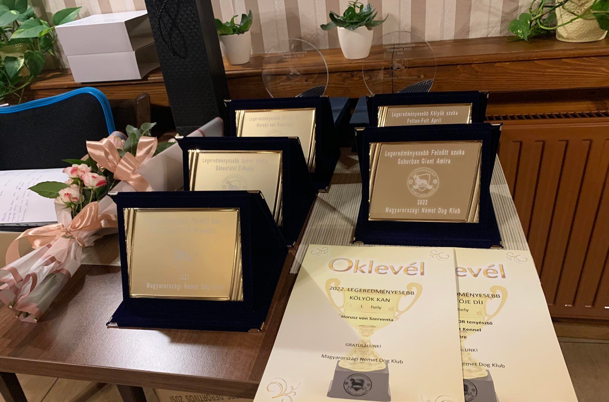 MNDK galéria díjak