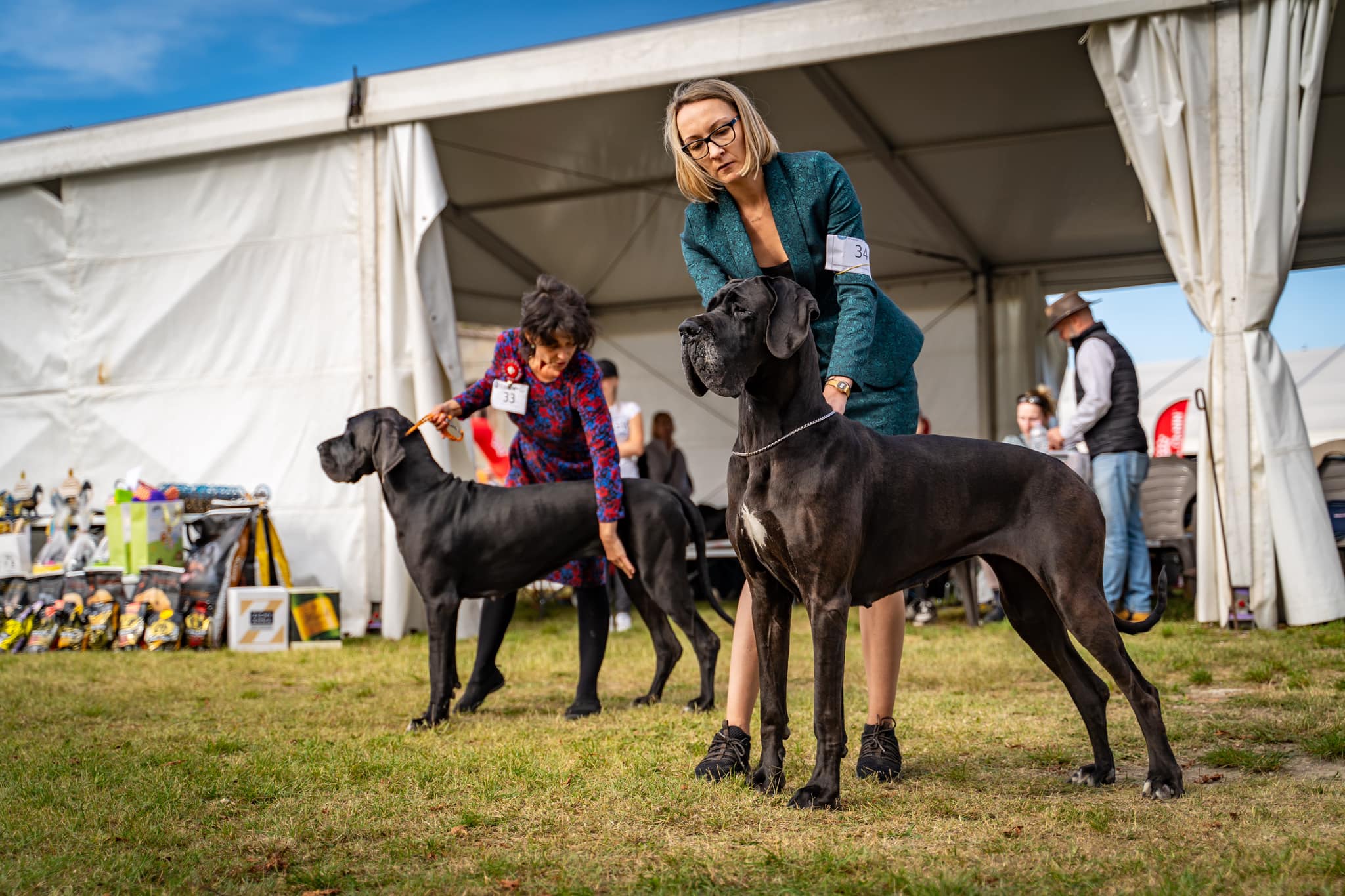 MNDK galéria kiállító
